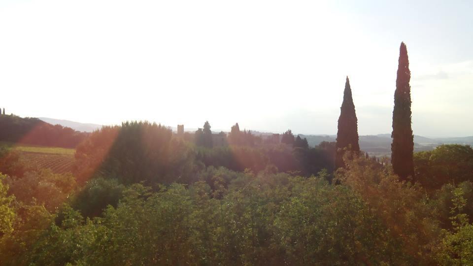 Casa Michelangelo Διαμέρισμα Megognano Εξωτερικό φωτογραφία